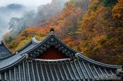 Travel photography:Haeinsa Temple complex, South Korea