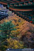 Travel photography:Haeinsa Temple complex, South Korea