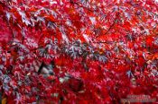 Travel photography:Haeinsa Temple complex, South Korea