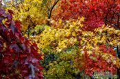 Travel photography:Haeinsa Temple complex, South Korea