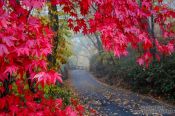 Travel photography:Haeinsa Temple complex, South Korea