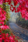 Travel photography:Haeinsa Temple complex, South Korea