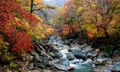 Travel photography:Haeinsa Temple complex, South Korea