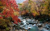 Travel photography:Haeinsa Temple complex, South Korea