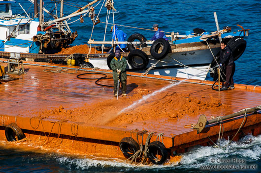 Local fishermen bring out clay to mitigate the effects of a harmful algal bloom event