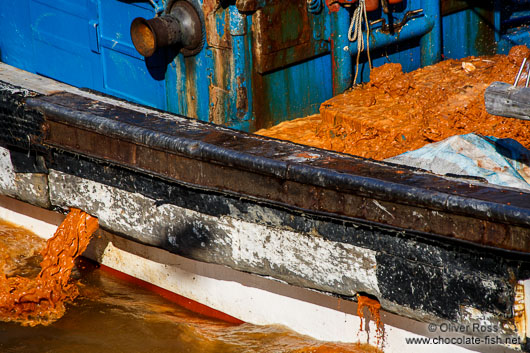 Local fishermen bring out clay to mitigate the effects of a harmful algal bloom event