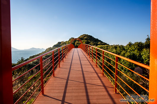 Bridge on Camellia Island