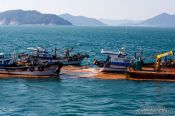 Travel photography:Local fishermen bring out clay to mitigate the effects of a harmful algal bloom event, South Korea