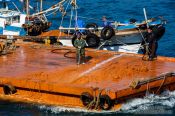 Travel photography:Local fishermen bring out clay to mitigate the effects of a harmful algal bloom event, South Korea