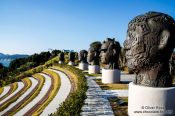 Travel photography:The open air amphitheatre on Camellia Island in the Jangsado Sea Park, South Korea