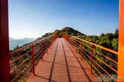 Travel photography:Bridge on Camellia Island, South Korea