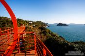 Travel photography:Bridge on Camellia Island, South Korea