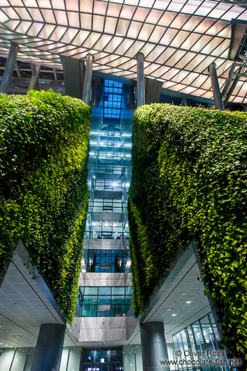 The Green Wall inside the Seoul City Hall