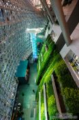 Travel photography:Green Wall inside the Seoul City Hall, South Korea