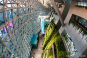 Travel photography:Green Wall inside the Seoul City Hall, South Korea