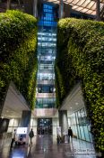 Travel photography:The Green Wall inside the Seoul City Hall, South Korea