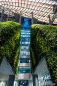 Travel photography:The Green Wall inside the Seoul City Hall, South Korea