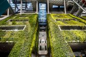 Travel photography:The Green Wall inside the Seoul city hall, South Korea