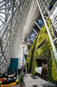 Travel photography:The Green Wall inside the Seoul city hall, South Korea