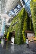 Travel photography:The Green Wall inside the Seoul city hall, South Korea