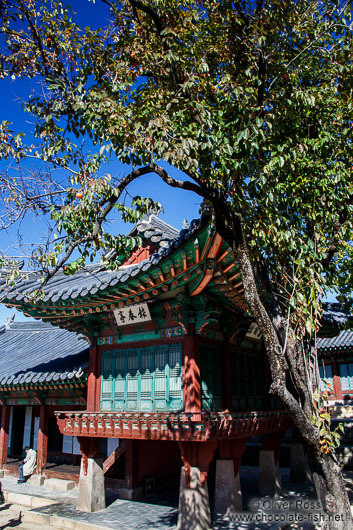 Seoul Changdeokgung palace