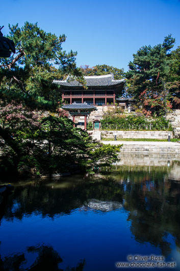 Seoul Changdeokgung palace Secret Garden