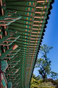 Travel photography:Seoul Changdeokgung palace, South Korea