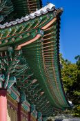 Travel photography:Seoul Changdeokgung palace, South Korea