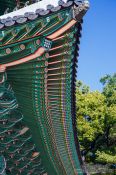 Travel photography:Seoul Changdeokgung palace, South Korea