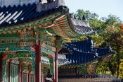 Travel photography:Seoul Changdeokgung palace, South Korea