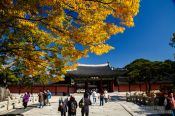 Travel photography:Seoul Changdeokgung palace, South Korea