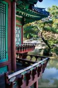 Travel photography:Seoul Changdeokgung palace Secret Garden, South Korea