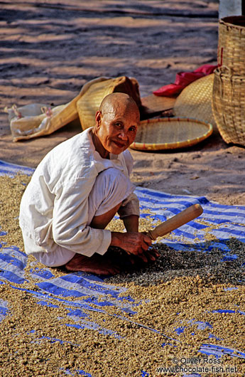 Female Buddhist monk at a temple near Luang Prabang