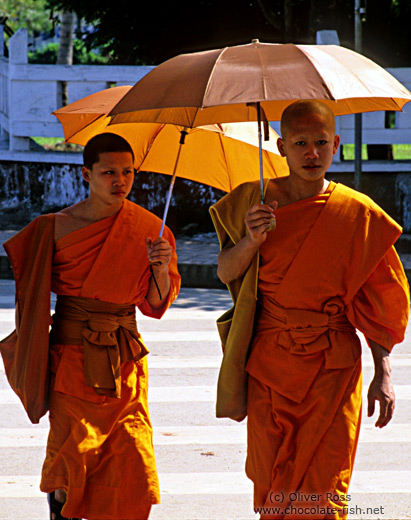 Buddhist monks in Luang Prabang