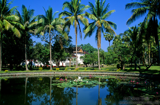 Pond in the Palace Grounds in Luang Prabang