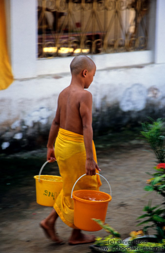 Young monk novice working in Luang Prabang