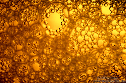 Bubbles in a beer bottle