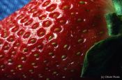 Travel photography:Strawberry