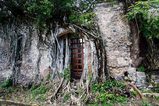 Overgrown ruins of the original house of  Hernán Cortés in La Antigua