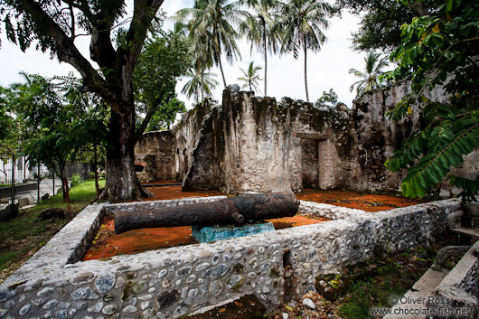 Overgrown ruins of the original house of  Hernán Cortés in La Antigua