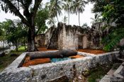 Travel photography:Overgrown ruins of the original house of  Hernán Cortés in La Antigua, Mexico