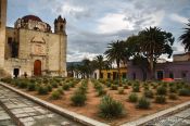 Travel photography:Oaxaca church square with Agave plants, Mexico