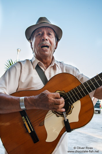 Boca del Rio musician