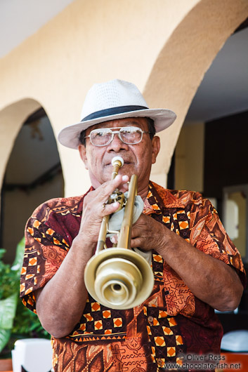 Boca del Rio musician