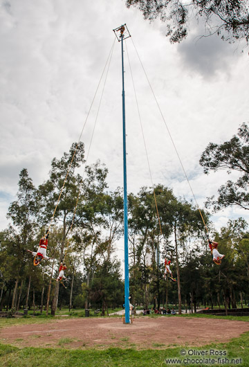 Danza de los voladores in Mexico City