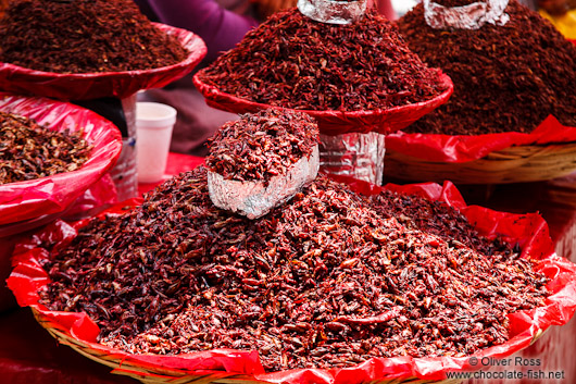 Selling crickets at the Oaxaca market
