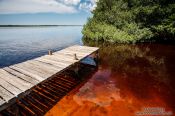 Travel photography:Mangrove forest near Celestun, Mexico