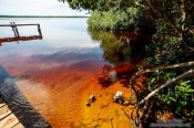 Travel photography:Mangrove forest near Celestun, Mexico