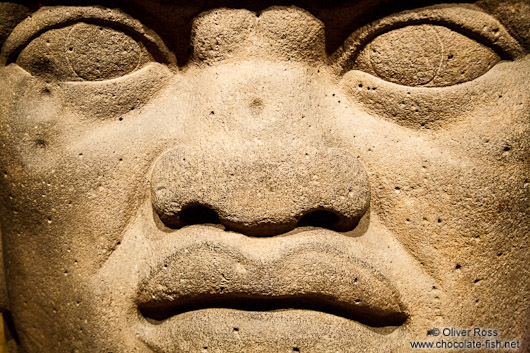 Olmec colossal head at the Mexico City Anthropological Museum