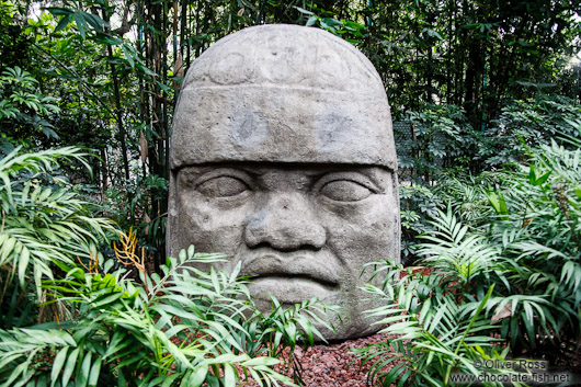 Olmec colossal head at the Mexico City Anthropological Museum